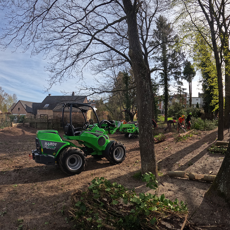 Travaux d’entretien sur les arbres
