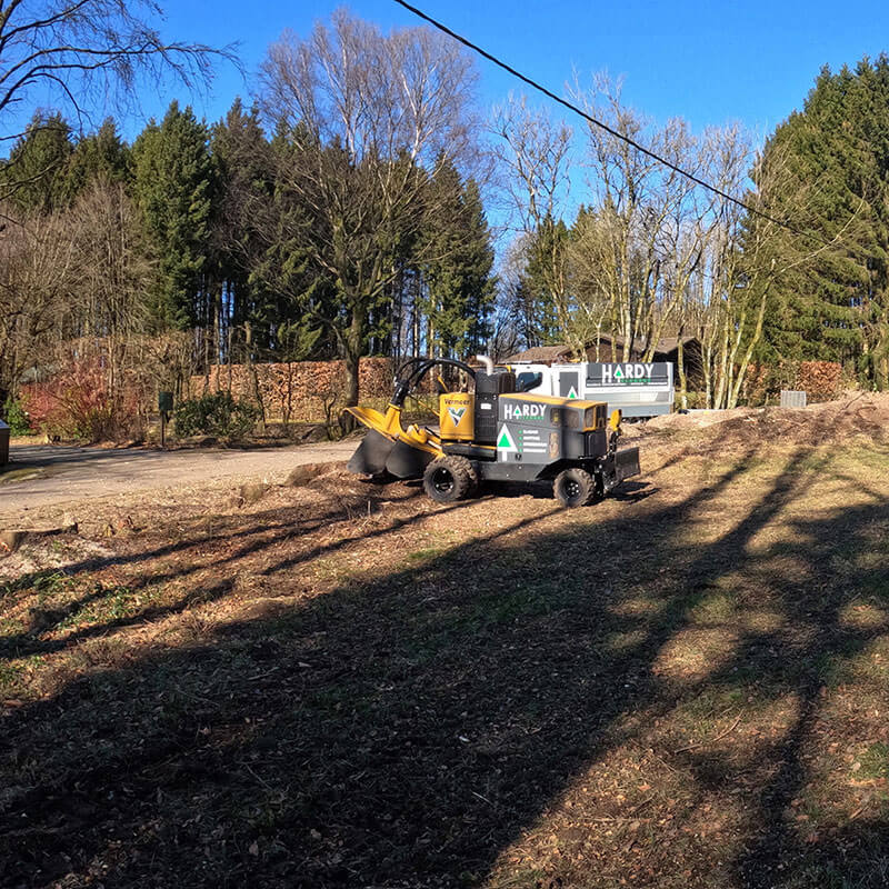 Éliminer les souches d'arbres
