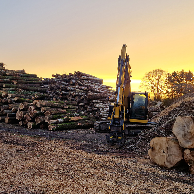 Vente de bois de chauffage