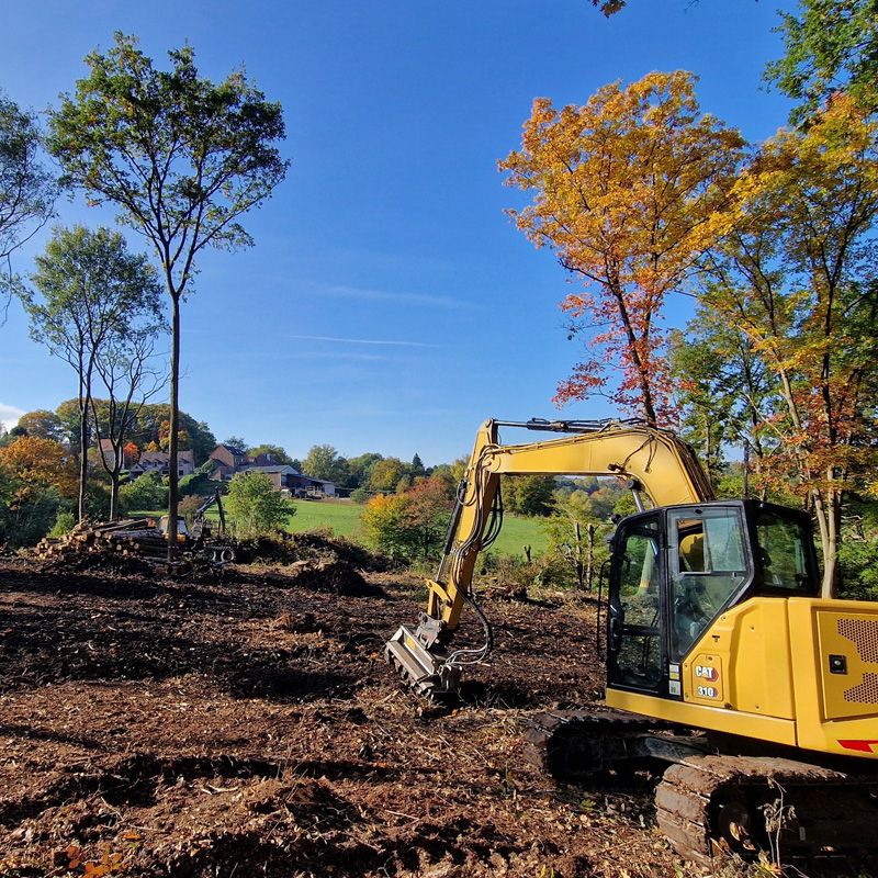 Travaux d’entretien sur les arbres