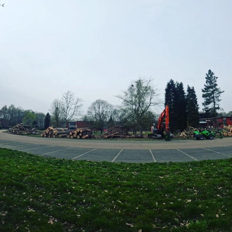Abattage d'une dizaine de peupliers pour sécuriser ce site de la Croix-Rouge